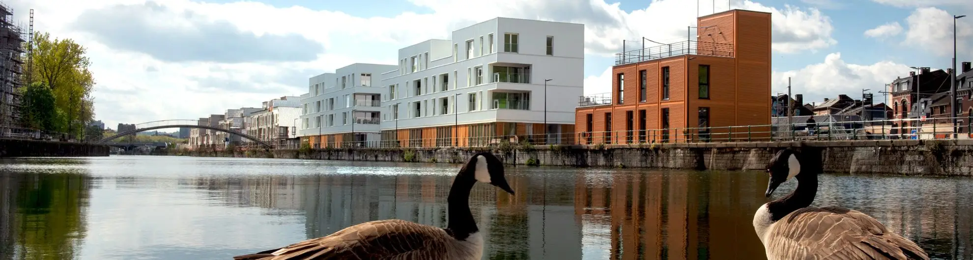 NeoLegia_RivesArdentes